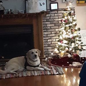 Meet your Posher, Jane